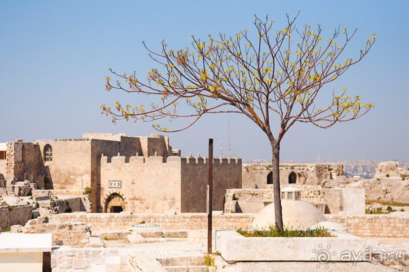 Алеппо, Бурдж Ислам