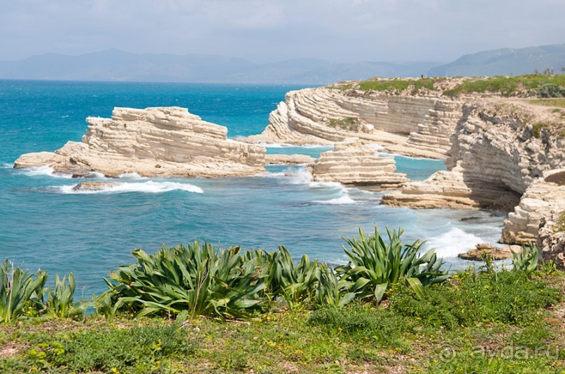 фото Алеппо