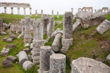 Альбом отзыва "Апамея - руины древнего города в Сирии"