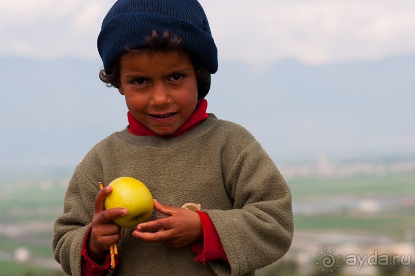 Апамея - руины древнего города в Сирии