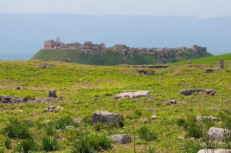 Альбом отзыва "Апамея - руины древнего города в Сирии"
