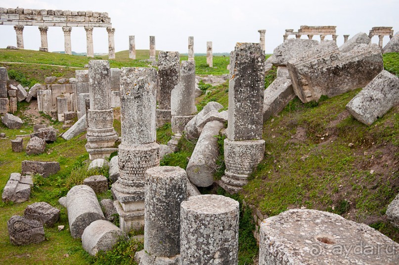 Апамея - руины древнего города в Сирии