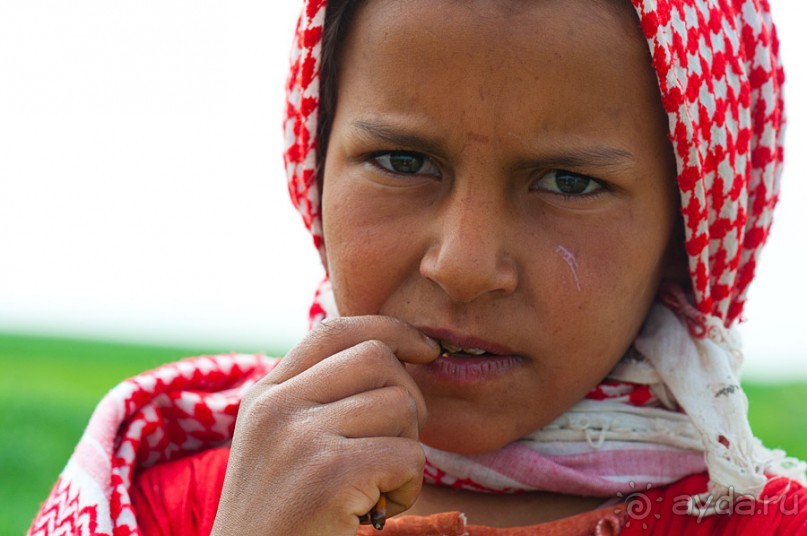 Апамея - руины древнего города в Сирии