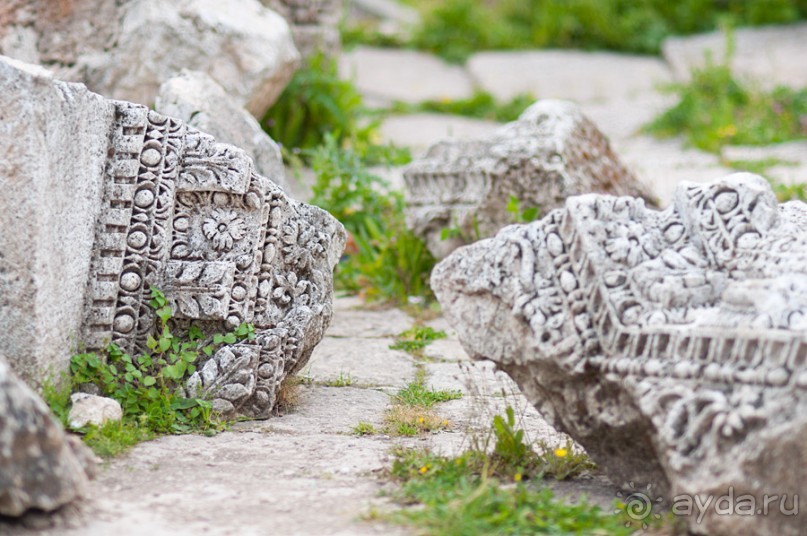 Апамея - руины древнего города в Сирии