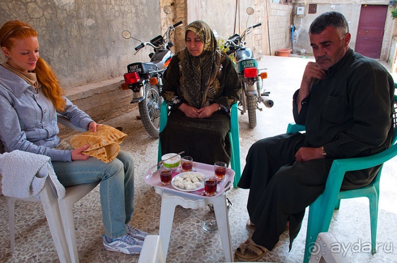 Апамея - руины древнего города в Сирии