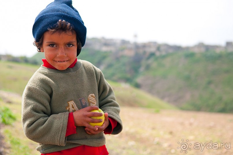 Апамея - руины древнего города в Сирии