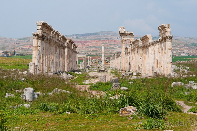 Альбом отзыва "Апамея - руины древнего города в Сирии"