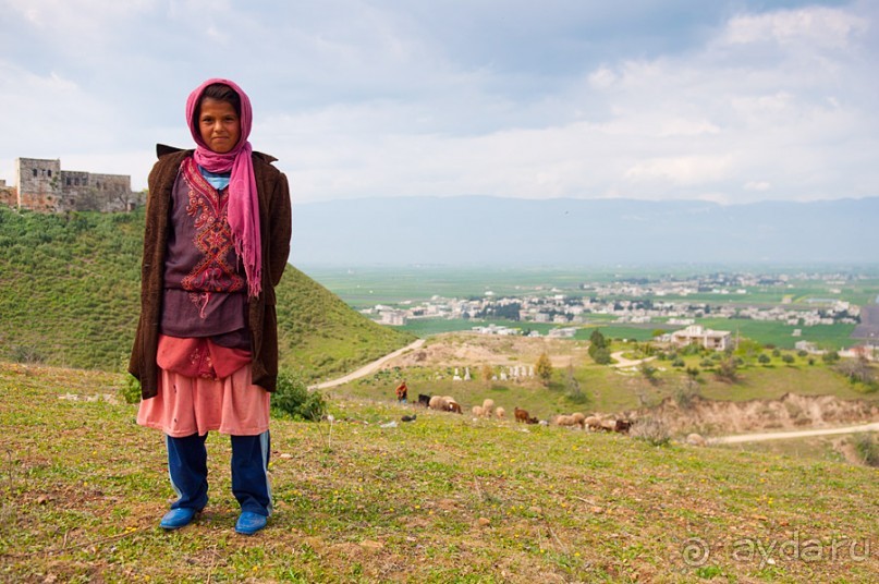 Апамея - руины древнего города в Сирии