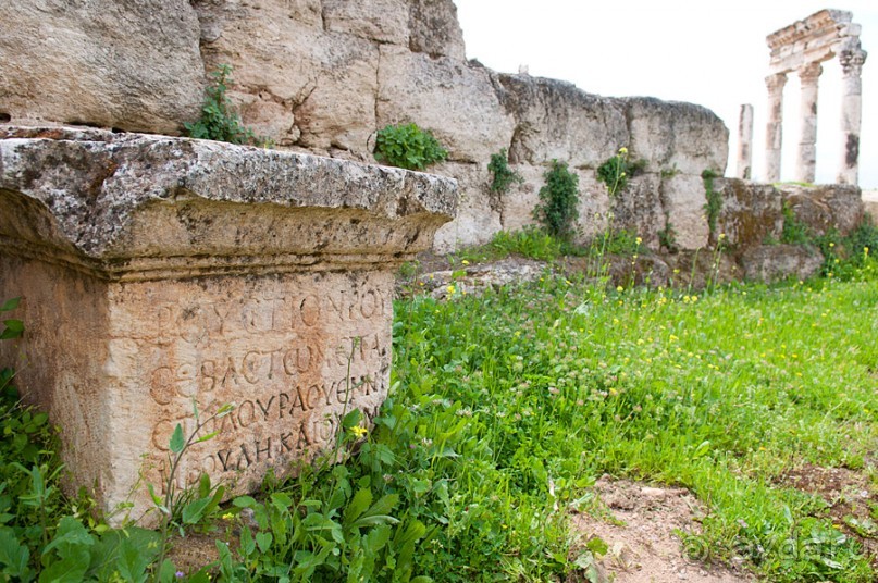 Альбом отзыва "Апамея - руины древнего города в Сирии"