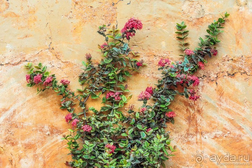 Кампече – пиратский город фальшивых фасадов