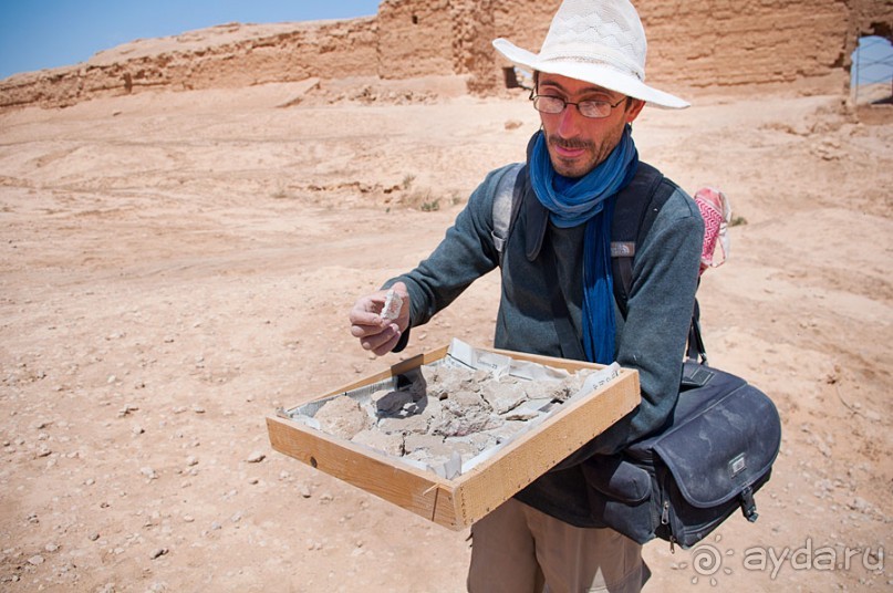 Дура Эуропус