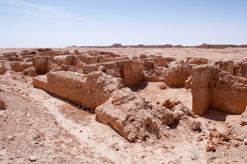 Дура Эуропус