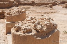 Дура Эуропус