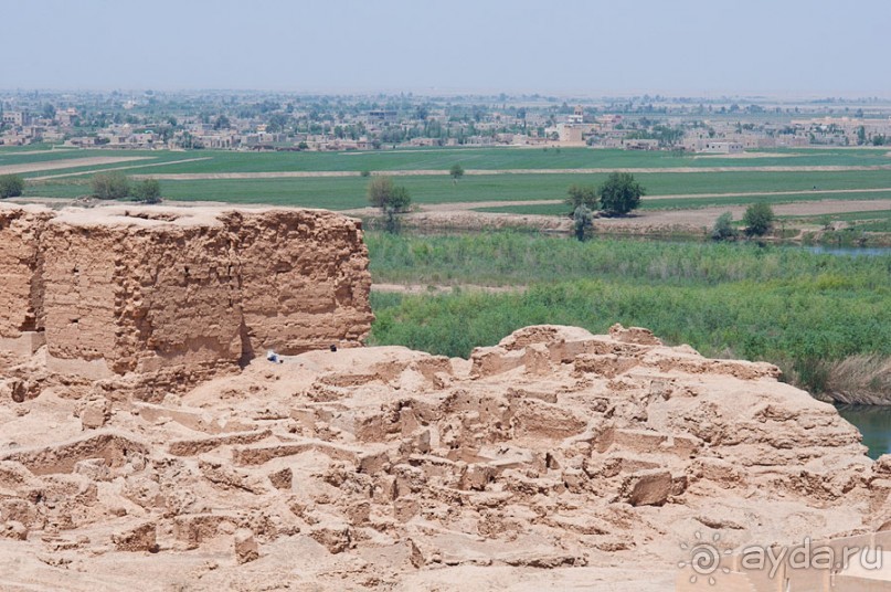 Дура Эуропус