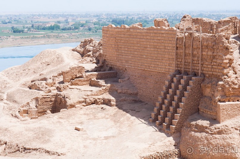 Дура Эуропус