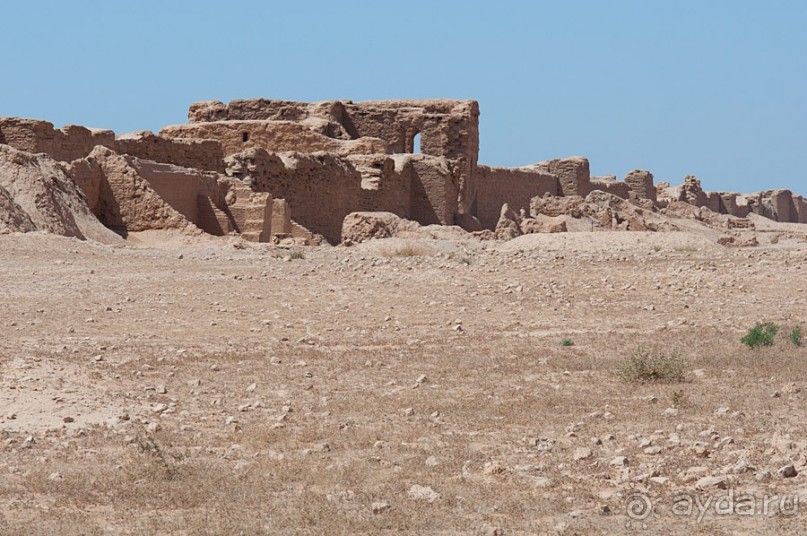 Дура Эуропус