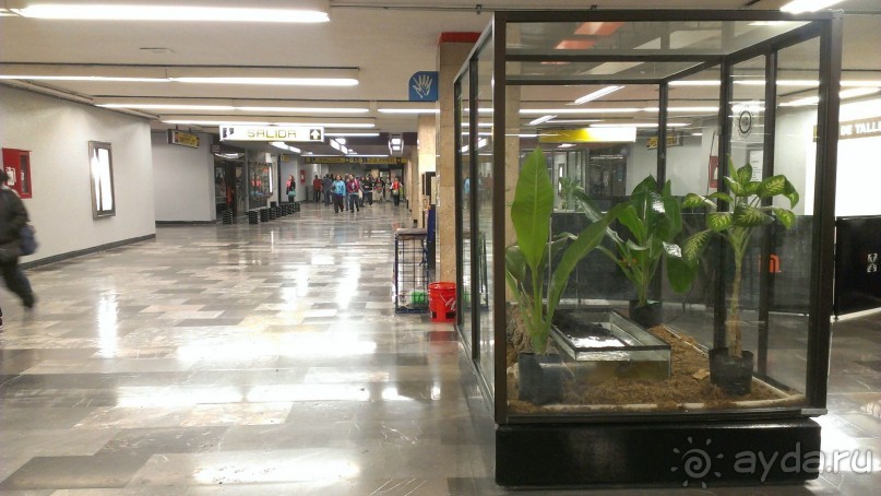 Альбом отзыва "Метро Мехико – инструкция по применению"