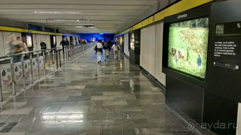 Метро Мехико – инструкция по применению