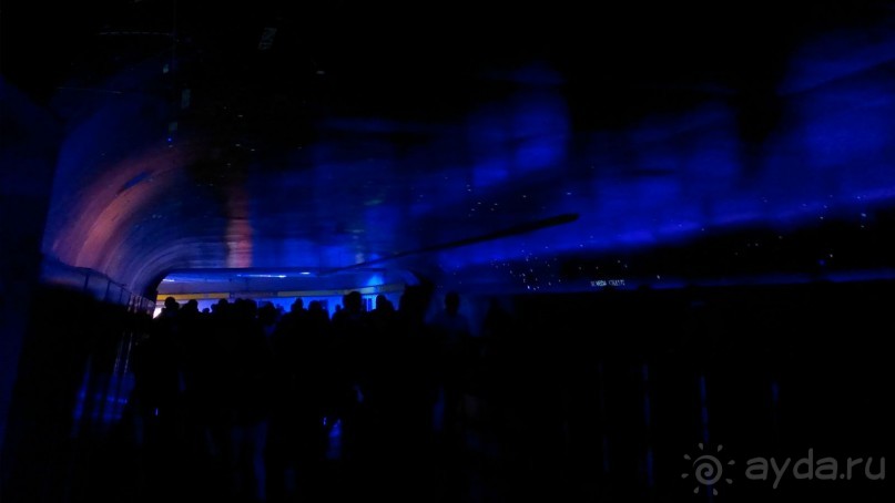 Метро Мехико – инструкция по применению