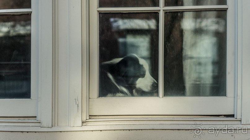 Нью-Йорк, ощущения туриста