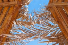 Новогодний Египет