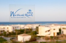 Новогодний Египет