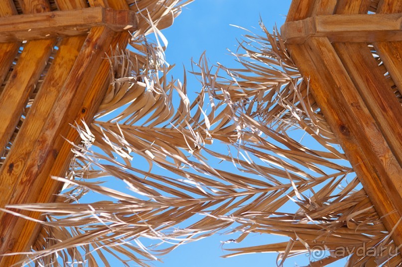 Новогодний Египет