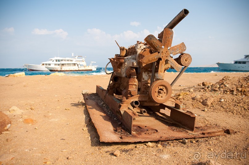 Новогодний Египет