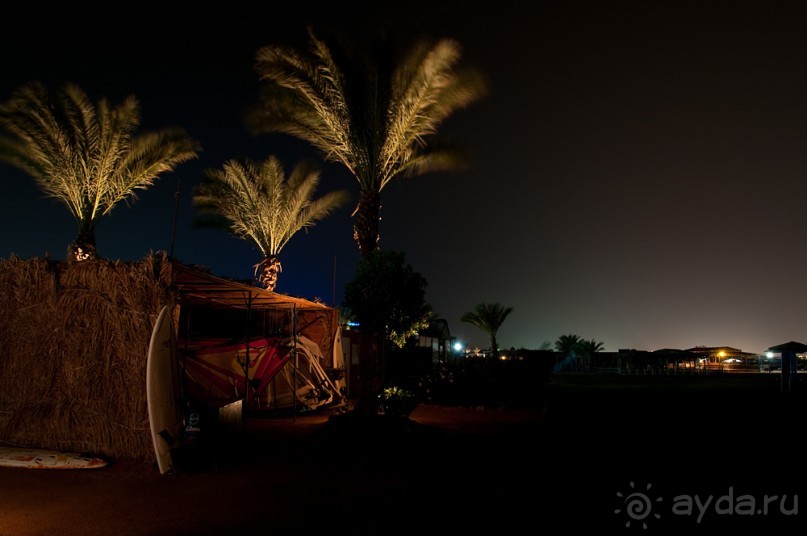 Новогодний Египет