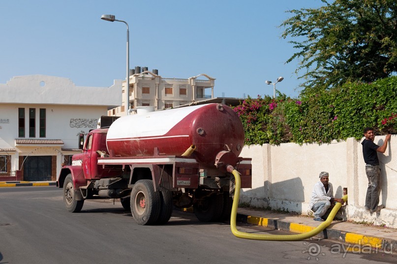 Новогодний Египет