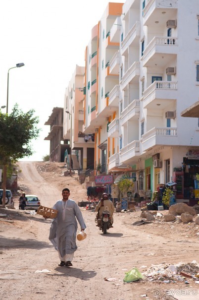 Новогодний Египет