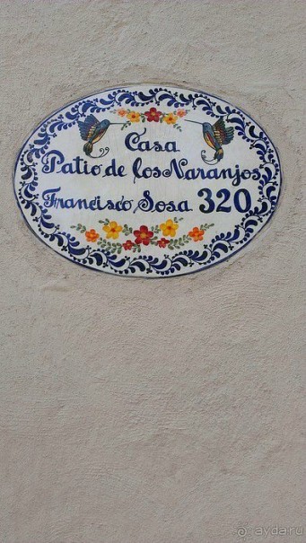  Мехико: район Койоакан, музей Фриды Кало и парки