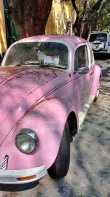  Мехико: район Койоакан, музей Фриды Кало и парки