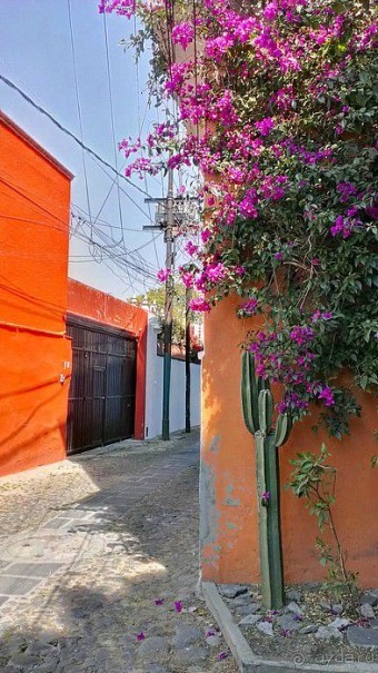  Мехико: район Койоакан, музей Фриды Кало и парки