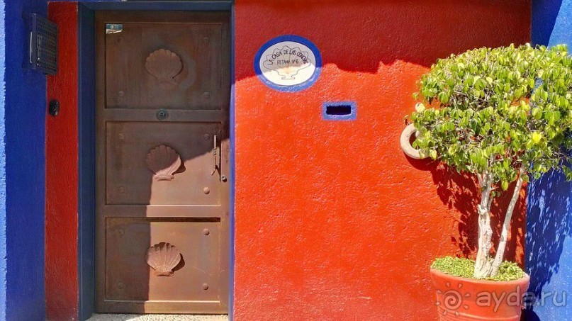  Мехико: район Койоакан, музей Фриды Кало и парки