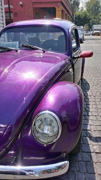  Мехико: район Койоакан, музей Фриды Кало и парки