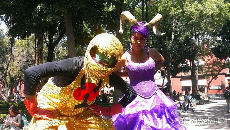  Мехико: район Койоакан, музей Фриды Кало и парки