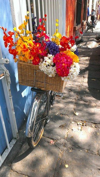  Мехико: район Койоакан, музей Фриды Кало и парки