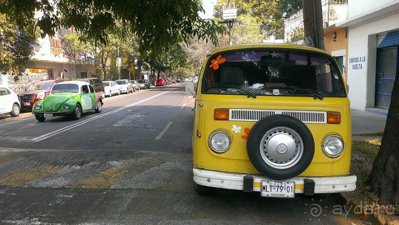  Мехико: район Койоакан, музей Фриды Кало и парки