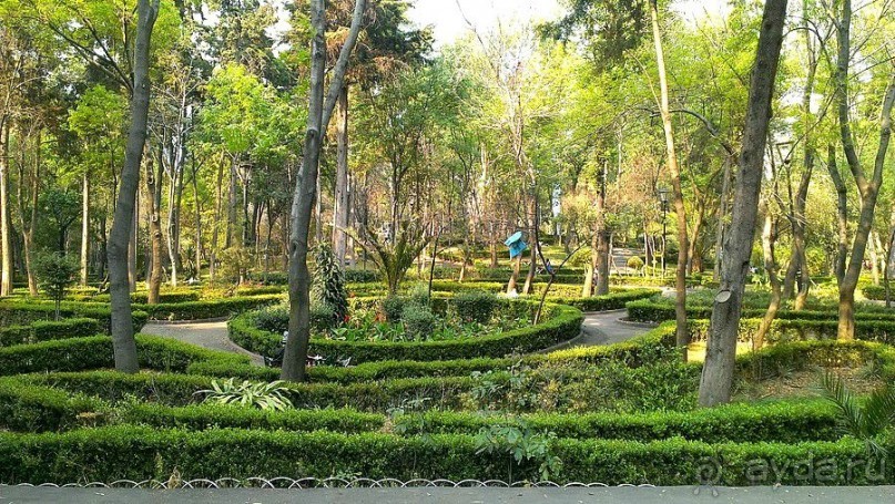  Мехико: район Койоакан, музей Фриды Кало и парки