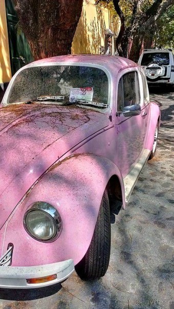  Мехико: район Койоакан, музей Фриды Кало и парки