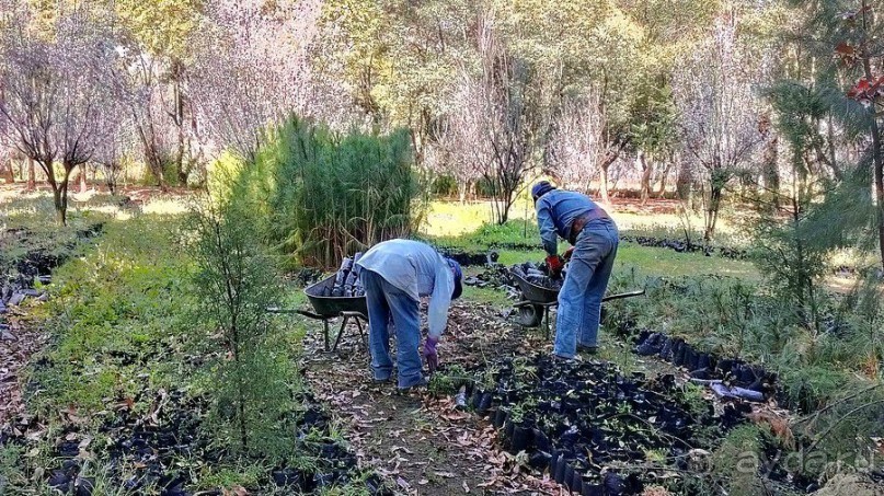  Мехико: район Койоакан, музей Фриды Кало и парки
