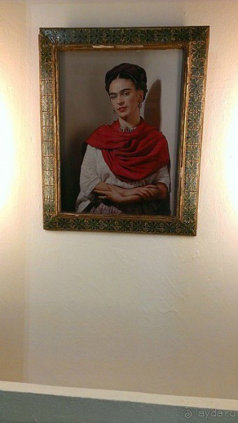  Мехико: район Койоакан, музей Фриды Кало и парки