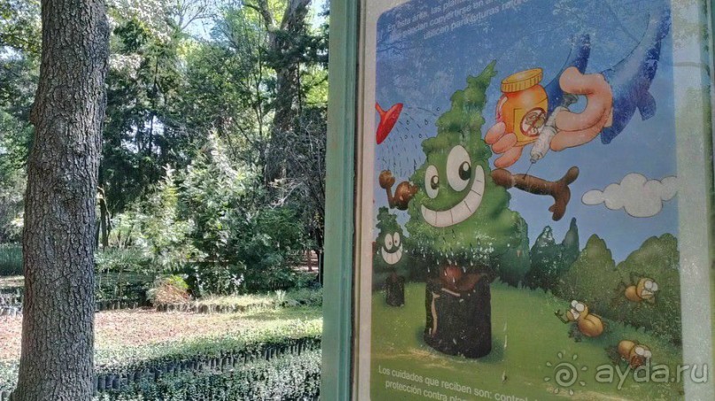  Мехико: район Койоакан, музей Фриды Кало и парки