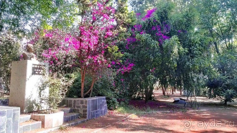  Мехико: район Койоакан, музей Фриды Кало и парки