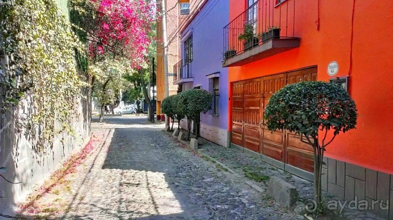  Мехико: район Койоакан, музей Фриды Кало и парки