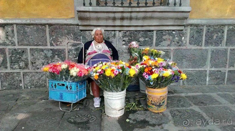  Мехико: район Койоакан, музей Фриды Кало и парки