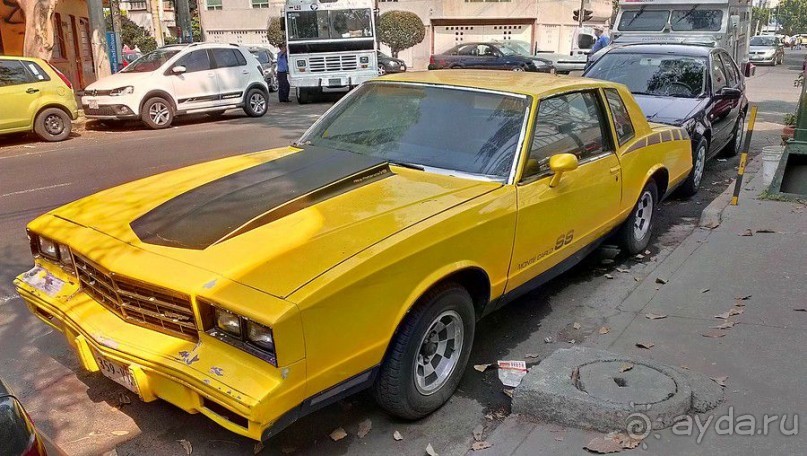  Мехико: район Койоакан, музей Фриды Кало и парки