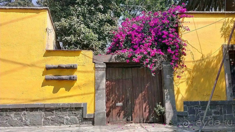  Мехико: район Койоакан, музей Фриды Кало и парки