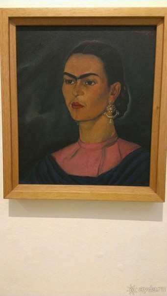  Мехико: район Койоакан, музей Фриды Кало и парки